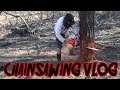 VLOG GOING CHAINSAWING WITH MY BROTHER AND BANJO