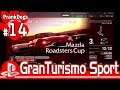 #14【Gran Turismo Sport】最高に楽しい！【大型犬の実況】