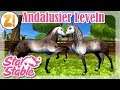 Andalusier Leveln