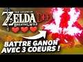 Défi Zelda BOTW : Battre Ganon avec 3 coeurs ! Faisable ? #181