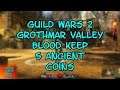 Guild Wars 2 Grothmar Valley Blood Keep 5 Ancient Coins