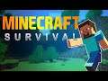 Minecraft Survival (Live Now)