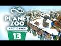 PLANET ZOO Arctic Pack - Review y Creamos el Polo Norte | CAP 13