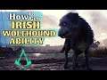 AC Valhalla How to get Irish Wolfhound Ability, Irish Wolfhound Ability Locations, NEW Ability