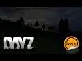 Day Z Part 5 (going to the military airport)