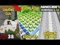 Minecraft Sinh Tồn - Tập 38 | Xây Máy Farm Xương Rồng Khổng Lồ, Nuôi Cừu và Đường Đi | MK Gaming