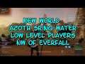New World Azoth Spring Water for Low Level Player NW of Everfall