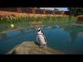Planet Zoo (PC)(English) #109 6 Minutes of African Penguin (Africa DLC)