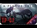 A Plague Tale: Innocence [EP-02] - Стрим - Спасаясь от крысиного братства