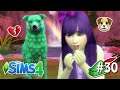 ELA PERDEU OS BEBÊS #30 - Primos Sobrenaturais - The Sims 4