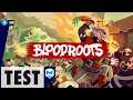 TEST du jeu Bloodroots - PS4, Xbox One, Switch, PC