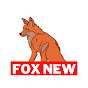 FOX NEW