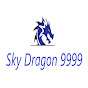 SkyDragon9999