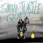 Smw Turtle Quest 2