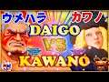 【スト5】ウメハラ（E.本田）対 カワノ（コーリン) 【SFV】Daigo Umehara(Honda) VS Kawano(Kolin)🔥FGC🔥