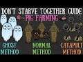 Don't Starve Together Guide: Pig Farming/Pig Farms