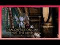 Grey Warden Destroys Andraste's Ashes (Betraying Wynne and Lilianna) - Dragon Age Origins