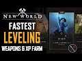 New World Guide: How to Level Up FAST as a Beginner. Fastest Leveling XP Farm