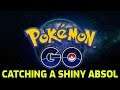 Pokémon GO - Catching a Shiny Absol