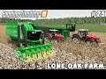 Selling milk,  cotton harvesting with new combines | Lone Oak Farm | Farming simulator 19 | ep #25