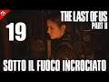 "SOTTO IL FUOCO INCROCIATO" THE LAST OF US PARTE II[Walkthrough Gameplay ITA Parte 19]LOW COMMENTARY