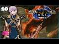Volvidon, Barioth & Village Quests Lv4★ 10 - Monster Hunter Rise