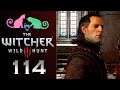 Let's Play - The Witcher 3: Wild Hunt - Ep 114 - "Allies of Novigrad"