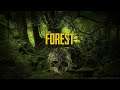 The forest /Gameplay español/ Vemos el final de la exploracion