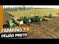 COLHEITA DE FEIJÃO PRETO - FARMING SIMULATOR 19