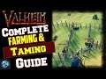 Complete Valheim Taming and Farming Guide! Taming Tips + Tutorial!