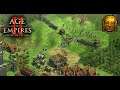 AOE2 DE: Ranked 2v2: Amazon Tunnel - Early aggression surprise
