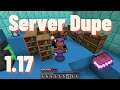 Duplicate Items on Servers Using the Book Duplication Glitch in Minecraft 1.17