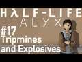 Let's Play Half Life: Alyx - 17 - Tripmines and Explosives