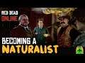 Red Dead Redemption 2 Online - Becoming a Naturalist