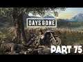 Days Gone Gameplay Walkthrough :: PS4 Pro :: Part 75 :: CONTACT!!