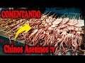 REACCIONANDO A COMIDA CHINA "Estan locos" | ESPAÑOL LATINO | HD