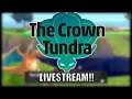 SHINY LEGENDARY HUNTING! | Pokemon Sword! The Crown Tundra DLC!