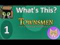 What's This? :: Older Release! Townsmen - A Kingdom Rebuilt - #1 :: 31Jul20 ✅