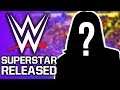 WWE Superstar Released | Matt Hardy Return Update
