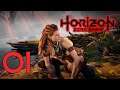 Horizon Zero Dawn Complete Edition / Un Regalo Del Pasado Cap. 01