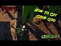 How To Find Grubs For Grub Goo And Hide