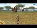 Animal Kingdom: Wildlife Expedition - Wii Gameplay 4k 2160p (DOLPHIN)