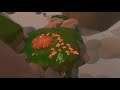 Dawn - All Flowers Speedrun in 5:42.90