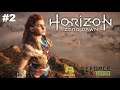 Horizon Zero Dawn #2 ACER NITRO 5 i5 GTX 1050 (4GB)
