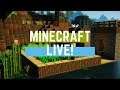 Minecraft live survival come chill chat and enjoy peeps :)
