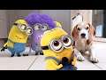 These Minions are Making Me Crazy, Try Not To Laugh.
