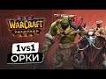 WarCraft 3 Reforged - 1на 1 - Орк | Бета Варкрафт 3 Рефордж