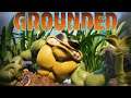 Grounded # 14 - Tief im Busch