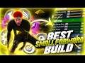 I FOUND THE MOST OVERPOWERED SMALL FORWARD BUILD IN 2K20! THE BEST DEMI GOD SMALL FORWARD BUILD!!!