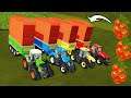 LAND OF WILD WEST! TOMATO HARVEST AND TRANSPORT WITH OVERLOADED TRAILER! Farming Simulator 19